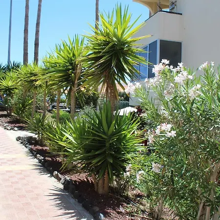 апартамент с 1-спальней в Daire *